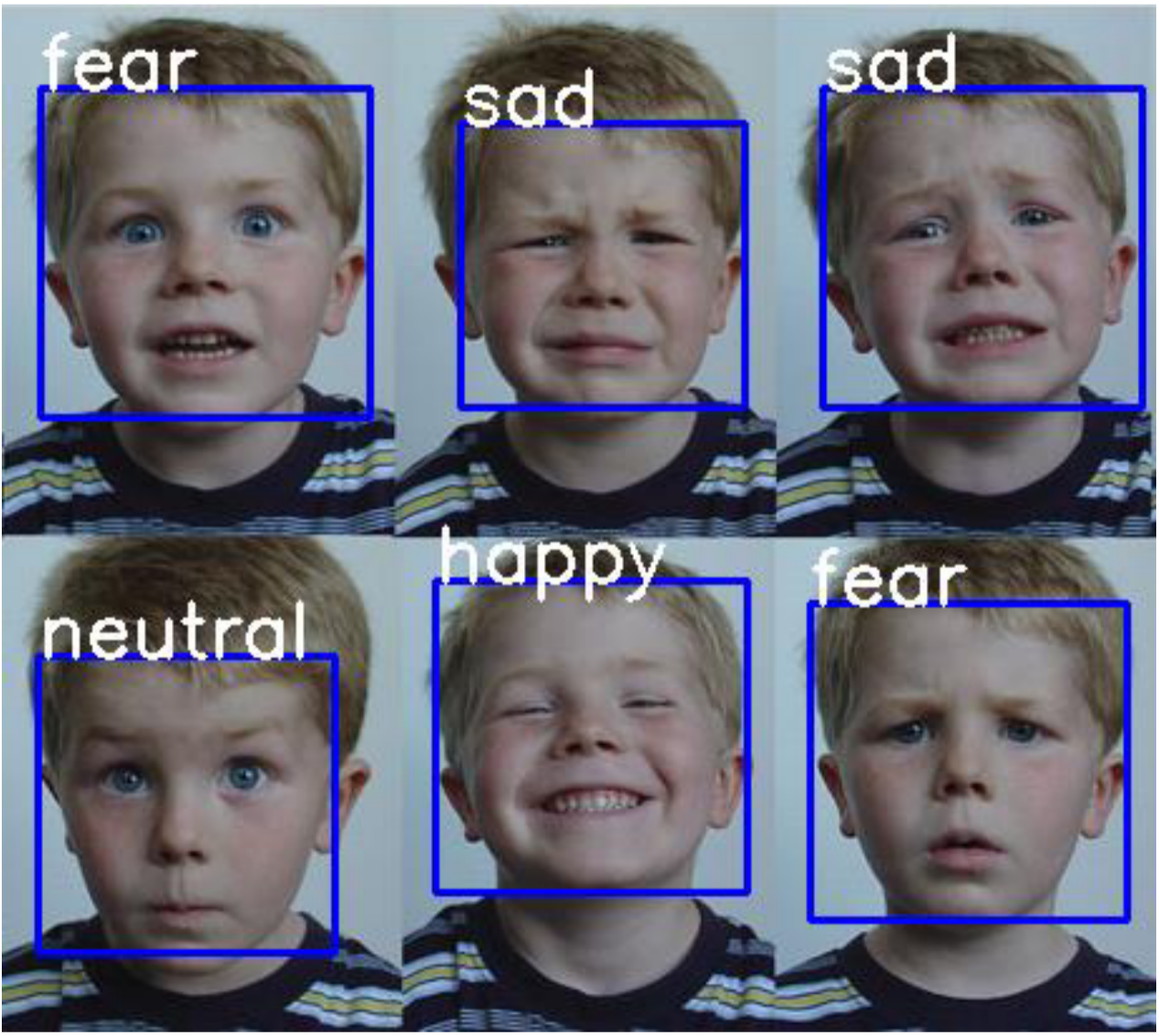 Face Emotion Detection system interface